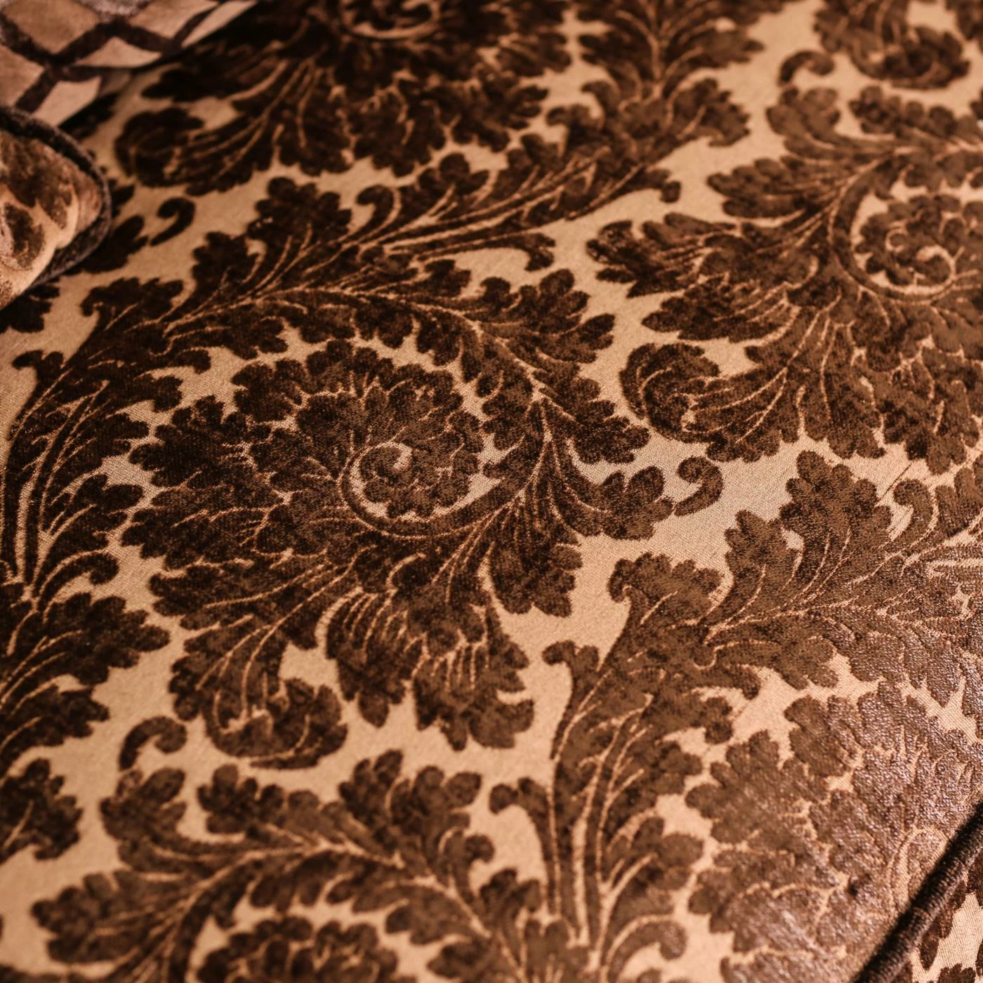 Best reviews of โจ Loveseats Furniture Of America Maldino Traditional Style Intricate Wood Carved Loveseat ๐คฉ - Image 3